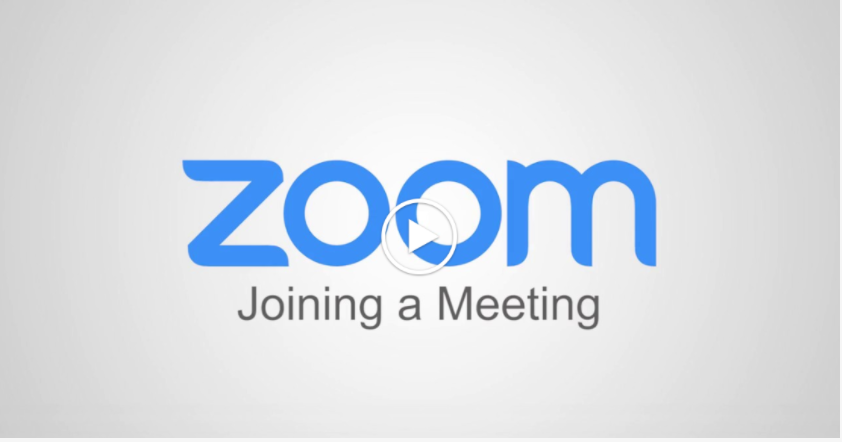 ila Festl Zoom Meeting